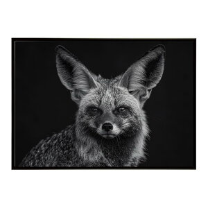 Bat-eared fox �I�I�~�~�M�c�l �T�o���i �A�t���J ���� ���R �l�C�`���[ ���� �A�j�}�� �쐶���� �ʐ^ �� �L�c�l�|�X�^�[ �C���e���A ������� �v�����g�|�X�^�[ �t�H�g �V���v�� ������ ���� ��