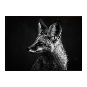 Bat-eared fox �I�I�~�~�M�c�l �T�o���i �A�t���J ���� ���R �l�C�`���[ ���� �A�j�}�� �쐶���� �ʐ^ �� �L�c�l�|�X�^�[ �C���e���A ������� �v�����g�|�X�^�[ �t�H�g �V���v�� ������ ���� ��