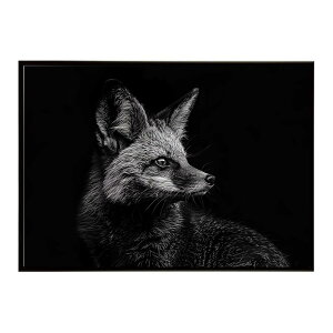Bat-eared fox �I�I�~�~�M�c�l �T�o���i �A�t���J ���� ���R �l�C�`���[ ���� �A�j�}�� �쐶���� �ʐ^ �� �L�c�l�|�X�^�[ �C���e���A ������� �v�����g�|�X�^�[ �t�H�g �V���v�� ������ ���� ��