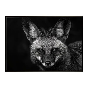 Bat-eared fox �I�I�~�~�M�c�l �T�o���i �A�t���J ���� ���R �l�C�`���[ ���� �A�j�}�� �쐶���� �ʐ^ �� �L�c�l�|�X�^�[ �C���e���A ������� �v�����g�|�X�^�[ �t�H�g �V���v�� ������ ���� ��