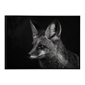 Bat-eared fox �I�I�~�~�M�c�l �T�o���i �A�t���J ���� ���R �l�C�`���[ ���� �A�j�}�� �쐶���� �ʐ^ �� �L�c�l�|�X�^�[ �C���e���A ������� �v�����g�|�X�^�[ �t�H�g �V���v�� ������ ���� ��
