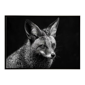 Bat-eared fox �I�I�~�~�M�c�l �T�o���i �A�t���J ���� ���R �l�C�`���[ ���� �A�j�}�� �쐶���� �ʐ^ �� �L�c�l�|�X�^�[ �C���e���A ������� �v�����g�|�X�^�[ �t�H�g �V���v�� ������ ���� ��