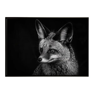 Bat-eared fox �I�I�~�~�M�c�l �T�o���i �A�t���J ���� ���R �l�C�`���[ ���� �A�j�}�� �쐶���� �ʐ^ �� �L�c�l�|�X�^�[ �C���e���A ������� �v�����g�|�X�^�[ �t�H�g �V���v�� ������ ���� ��