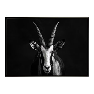 Blesbok �u���X�{�b�N �A���e���[�v �T�o���i �A�t���J ���� ���R �l�C�`���[ ���� �A�j�}�� �쐶���� �ʐ^ ���|�X�^�[ �C���e���A ������� �v�����g�|�X�^�[ �t�H�g �V���v�� ������ ���� ��