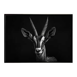 Blesbok �u���X�{�b�N �A���e���[�v �T�o���i �A�t���J ���� ���R �l�C�`���[ ���� �A�j�}�� �쐶���� �ʐ^ ���|�X�^�[ �C���e���A ������� �v�����g�|�X�^�[ �t�H�g �V���v�� ������ ���� ��