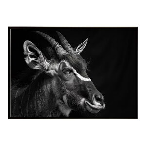 Bongo �{���S �A���e���[�v �T�o���i �A�t���J ���� ���R �l�C�`���[ ���� �A�j�}�� �쐶���� �ʐ^ ���|�X�^�[ �C���e���A ������� �v�����g�|�X�^�[ �t�H�g �V���v�� ������ ���� �傫��/lh-po