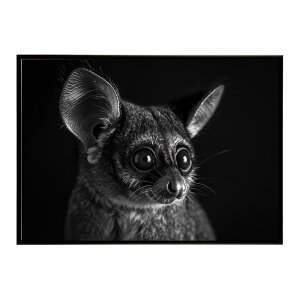 Bushbaby �K���S �u�b�V���x�C�r�[ �T�o���i �A�t���J ���� ���R �l�C�`���[ ���� �A�j�}�� �쐶���� �ʐ^�|�X�^�[ �C���e���A ������� �v�����g�|�X�^�[ �t�H�g �V���v�� ������ ���� �傫��/