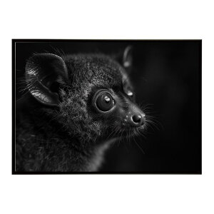 Bushbaby �K���S �u�b�V���x�C�r�[ �T�o���i �A�t���J ���� ���R �l�C�`���[ ���� �A�j�}�� �쐶���� �ʐ^�|�X�^�[ �C���e���A ������� �v�����g�|�X�^�[ �t�H�g �V���v�� ������ ���� �傫��/