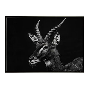 Bushbuck �u�b�V���o�b�N �A���e���[�v �T�o���i �A�t���J ���� ���R �l�C�`���[ ���� �A�j�}�� �쐶���� �ʐ^ ���|�X�^�[ �C���e���A ������� �v�����g�|�X�^�[ �t�H�g �V���v�� ������ ���� 