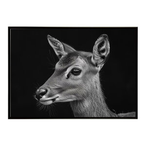 Bushbuck �u�b�V���o�b�N �A���e���[�v �T�o���i �A�t���J ���� ���R �l�C�`���[ ���� �A�j�}�� �쐶���� �ʐ^ ���|�X�^�[ �C���e���A ������� �v�����g�|�X�^�[ �t�H�g �V���v�� ������ ���� 
