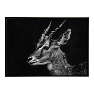 Bushbuck �u�b�V���o�b�N �A���e���[�v �T�o���i �A�t���J ���� ���R �l�C�`���[ ���� �A�j�}�� �쐶���� �ʐ^ ���|�X�^�[ �C���e���A ������� �v�����g�|�X�^�[ �t�H�g �V���v�� ������ ���� 