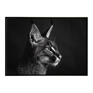 Caracal �J���J�� �J���J���L���b�g �T�o���i �A�t���J ���� ���R �l�C�`���[ ���� �A�j�}�� �쐶���� �ʐ^ �L�|�X�^�[ �C���e���A ������� �v�����g�|�X�^�[ �t�H�g �V���v�� ������ ���� ��