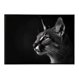 Caracal �J���J�� �J���J���L���b�g �T�o���i �A�t���J ���� ���R �l�C�`���[ ���� �A�j�}�� �쐶���� �ʐ^ �L�|�X�^�[ �C���e���A ������� �v�����g�|�X�^�[ �t�H�g �V���v�� ������ ���� ��