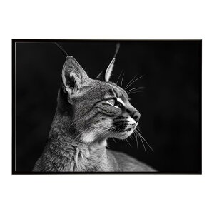 Caracal �J���J�� �J���J���L���b�g �T�o���i �A�t���J ���� ���R �l�C�`���[ ���� �A�j�}�� �쐶���� �ʐ^ �L�|�X�^�[ �C���e���A ������� �v�����g�|�X�^�[ �t�H�g �V���v�� ������ ���� ��