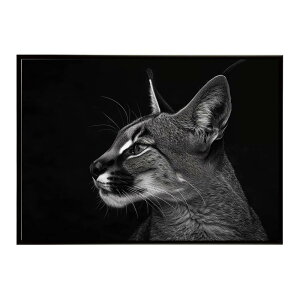 Caracal �J���J�� �J���J���L���b�g �T�o���i �A�t���J ���� ���R �l�C�`���[ ���� �A�j�}�� �쐶���� �ʐ^ �L�|�X�^�[ �C���e���A ������� �v�����g�|�X�^�[ �t�H�g �V���v�� ������ ���� ��