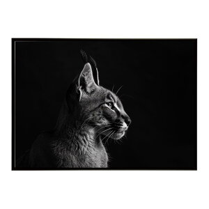 Caracal �J���J�� �J���J���L���b�g �T�o���i �A�t���J ���� ���R �l�C�`���[ ���� �A�j�}�� �쐶���� �ʐ^ �L�|�X�^�[ �C���e���A ������� �v�����g�|�X�^�[ �t�H�g �V���v�� ������ ���� ��