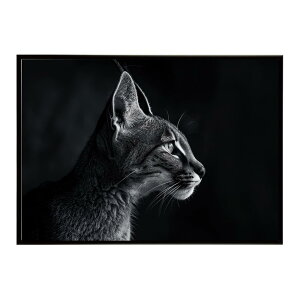 Caracal �J���J�� �J���J���L���b�g �T�o���i �A�t���J ���� ���R �l�C�`���[ ���� �A�j�}�� �쐶���� �ʐ^ �L�|�X�^�[ �C���e���A ������� �v�����g�|�X�^�[ �t�H�g �V���v�� ������ ���� ��