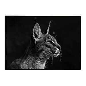 Caracal �J���J�� �J���J���L���b�g �T�o���i �A�t���J ���� ���R �l�C�`���[ ���� �A�j�}�� �쐶���� �ʐ^ �L�|�X�^�[ �C���e���A ������� �v�����g�|�X�^�[ �t�H�g �V���v�� ������ ���� ��