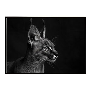 Caracal �J���J�� �J���J���L���b�g �T�o���i �A�t���J ���� ���R �l�C�`���[ ���� �A�j�}�� �쐶���� �ʐ^ �L�|�X�^�[ �C���e���A ������� �v�����g�|�X�^�[ �t�H�g �V���v�� ������ ���� ��