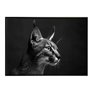 Caracal �J���J�� �J���J���L���b�g �T�o���i �A�t���J ���� ���R �l�C�`���[ ���� �A�j�}�� �쐶���� �ʐ^ �L�|�X�^�[ �C���e���A ������� �v�����g�|�X�^�[ �t�H�g �V���v�� ������ ���� ��