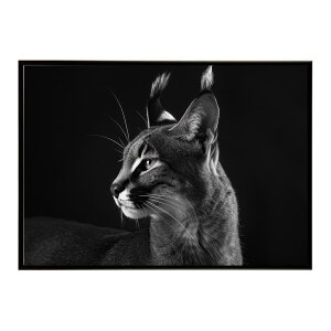 Caracal �J���J�� �J���J���L���b�g �T�o���i �A�t���J ���� ���R �l�C�`���[ ���� �A�j�}�� �쐶���� �ʐ^ �L�|�X�^�[ �C���e���A ������� �v�����g�|�X�^�[ �t�H�g �V���v�� ������ ���� ��
