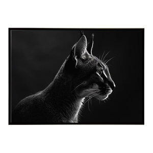 Caracal �J���J�� �J���J���L���b�g �T�o���i �A�t���J ���� ���R �l�C�`���[ ���� �A�j�}�� �쐶���� �ʐ^ �L�|�X�^�[ �C���e���A ������� �v�����g�|�X�^�[ �t�H�g �V���v�� ������ ���� ��