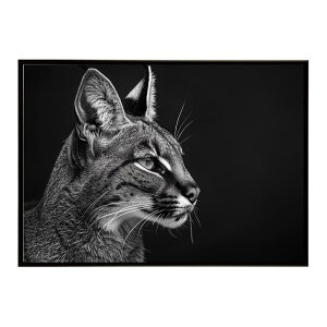 Caracal �J���J�� �J���J���L���b�g �T�o���i �A�t���J ���� ���R �l�C�`���[ ���� �A�j�}�� �쐶���� �ʐ^ �L�|�X�^�[ �C���e���A ������� �v�����g�|�X�^�[ �t�H�g �V���v�� ������ ���� ��