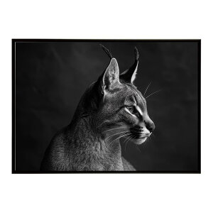 Caracal �J���J�� �J���J���L���b�g �T�o���i �A�t���J ���� ���R �l�C�`���[ ���� �A�j�}�� �쐶���� �ʐ^ �L�|�X�^�[ �C���e���A ������� �v�����g�|�X�^�[ �t�H�g �V���v�� ������ ���� ��