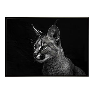 Caracal �J���J�� �J���J���L���b�g �T�o���i �A�t���J ���� ���R �l�C�`���[ ���� �A�j�}�� �쐶���� �ʐ^ �L�|�X�^�[ �C���e���A ������� �v�����g�|�X�^�[ �t�H�g �V���v�� ������ ���� ��