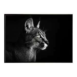Caracal �J���J�� �J���J���L���b�g �T�o���i �A�t���J ���� ���R �l�C�`���[ ���� �A�j�}�� �쐶���� �ʐ^ �L�|�X�^�[ �C���e���A ������� �v�����g�|�X�^�[ �t�H�g �V���v�� ������ ���� ��