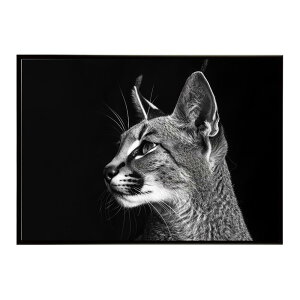 Caracal �J���J�� �J���J���L���b�g �T�o���i �A�t���J ���� ���R �l�C�`���[ ���� �A�j�}�� �쐶���� �ʐ^ �L�|�X�^�[ �C���e���A ������� �v�����g�|�X�^�[ �t�H�g �V���v�� ������ ���� ��