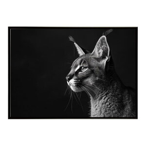 Caracal �J���J�� �J���J���L���b�g �T�o���i �A�t���J ���� ���R �l�C�`���[ ���� �A�j�}�� �쐶���� �ʐ^ �L�|�X�^�[ �C���e���A ������� �v�����g�|�X�^�[ �t�H�g �V���v�� ������ ���� ��