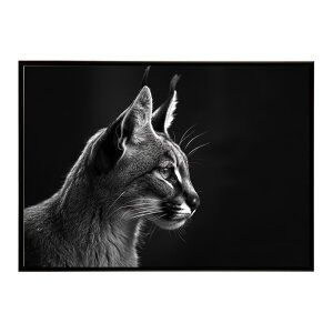 Caracal �J���J�� �J���J���L���b�g �T�o���i �A�t���J ���� ���R �l�C�`���[ ���� �A�j�}�� �쐶���� �ʐ^ �L�|�X�^�[ �C���e���A ������� �v�����g�|�X�^�[ �t�H�g �V���v�� ������ ���� ��