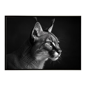 Caracal �J���J�� �J���J���L���b�g �T�o���i �A�t���J ���� ���R �l�C�`���[ ���� �A�j�}�� �쐶���� �ʐ^ �L�|�X�^�[ �C���e���A ������� �v�����g�|�X�^�[ �t�H�g �V���v�� ������ ���� ��