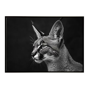 Caracal �J���J�� �J���J���L���b�g �T�o���i �A�t���J ���� ���R �l�C�`���[ ���� �A�j�}�� �쐶���� �ʐ^ �L�|�X�^�[ �C���e���A ������� �v�����g�|�X�^�[ �t�H�g �V���v�� ������ ���� ��