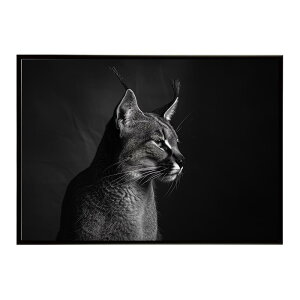 Caracal �J���J�� �J���J���L���b�g �T�o���i �A�t���J ���� ���R �l�C�`���[ ���� �A�j�}�� �쐶���� �ʐ^ �L�|�X�^�[ �C���e���A ������� �v�����g�|�X�^�[ �t�H�g �V���v�� ������ ���� ��