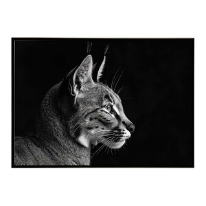 Caracal �J���J�� �J���J���L���b�g �T�o���i �A�t���J ���� ���R �l�C�`���[ ���� �A�j�}�� �쐶���� �ʐ^ �L�|�X�^�[ �C���e���A ������� �v�����g�|�X�^�[ �t�H�g �V���v�� ������ ���� ��