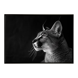 Caracal �J���J�� �J���J���L���b�g �T�o���i �A�t���J ���� ���R �l�C�`���[ ���� �A�j�}�� �쐶���� �ʐ^ �L�|�X�^�[ �C���e���A ������� �v�����g�|�X�^�[ �t�H�g �V���v�� ������ ���� ��