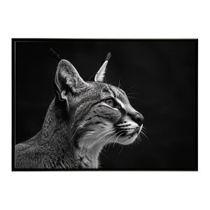 Caracal �J���J�� �J���J���L���b�g �T�o���i �A�t���J ���� ���R �l�C�`���[ ���� �A�j�}�� �쐶���� �ʐ^ �L�|�X�^�[ �C���e���A ������� �v�����g�|�X�^�[ �t�H�g �V���v�� ������ ���� ��