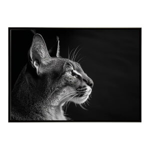 Caracal �J���J�� �J���J���L���b�g �T�o���i �A�t���J ���� ���R �l�C�`���[ ���� �A�j�}�� �쐶���� �ʐ^ �L�|�X�^�[ �C���e���A ������� �v�����g�|�X�^�[ �t�H�g �V���v�� ������ ���� ��