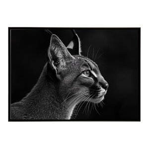 Caracal �J���J�� �J���J���L���b�g �T�o���i �A�t���J ���� ���R �l�C�`���[ ���� �A�j�}�� �쐶���� �ʐ^ �L�|�X�^�[ �C���e���A ������� �v�����g�|�X�^�[ �t�H�g �V���v�� ������ ���� ��