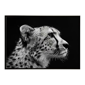 Cheetah �`�[�^�[ �T�o���i �A�t���J ���� ���R �l�C�`���[ ���� �A�j�}�� �쐶���� �ʐ^ �L�|�X�^�[ �C���e���A ������� �v�����g�|�X�^�[ �t�H�g �V���v�� ������ ���� �傫��/lh-poster-6321