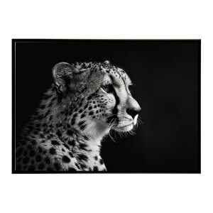 Cheetah �`�[�^�[ �T�o���i �A�t���J ���� ���R �l�C�`���[ ���� �A�j�}�� �쐶���� �ʐ^ �L�|�X�^�[ �C���e���A ������� �v�����g�|�X�^�[ �t�H�g �V���v�� ������ ���� �傫��/lh-poster-6322