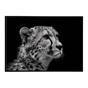 Cheetah �`�[�^�[ �T�o���i �A�t���J ���� ���R �l�C�`���[ ���� �A�j�}�� �쐶���� �ʐ^ �L�|�X�^�[ �C���e���A ������� �v�����g�|�X�^�[ �t�H�g �V���v�� ������ ���� �傫��/lh-poster-6323