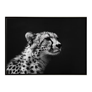 Cheetah �`�[�^�[ �T�o���i �A�t���J ���� ���R �l�C�`���[ ���� �A�j�}�� �쐶���� �ʐ^ �L�|�X�^�[ �C���e���A ������� �v�����g�|�X�^�[ �t�H�g �V���v�� ������ ���� �傫��/lh-poster-6325
