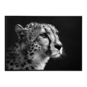 Cheetah �`�[�^�[ �T�o���i �A�t���J ���� ���R �l�C�`���[ ���� �A�j�}�� �쐶���� �ʐ^ �L�|�X�^�[ �C���e���A ������� �v�����g�|�X�^�[ �t�H�g �V���v�� ������ ���� �傫��/lh-poster-6330
