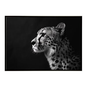Cheetah �`�[�^�[ �T�o���i �A�t���J ���� ���R �l�C�`���[ ���� �A�j�}�� �쐶���� �ʐ^ �L�|�X�^�[ �C���e���A ������� �v�����g�|�X�^�[ �t�H�g �V���v�� ������ ���� �傫��/lh-poster-6331