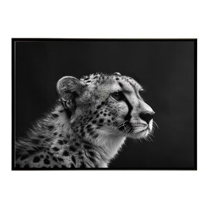 Cheetah �`�[�^�[ �T�o���i �A�t���J ���� ���R �l�C�`���[ ���� �A�j�}�� �쐶���� �ʐ^ �L�|�X�^�[ �C���e���A ������� �v�����g�|�X�^�[ �t�H�g �V���v�� ������ ���� �傫��/lh-poster-6333
