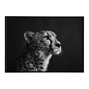 Cheetah �`�[�^�[ �T�o���i �A�t���J ���� ���R �l�C�`���[ ���� �A�j�}�� �쐶���� �ʐ^ �L�|�X�^�[ �C���e���A ������� �v�����g�|�X�^�[ �t�H�g �V���v�� ������ ���� �傫��/lh-poster-6334