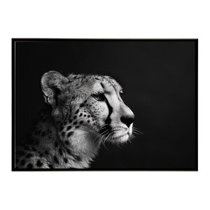 Cheetah �`�[�^�[ �T�o���i �A�t���J ���� ���R �l�C�`���[ ���� �A�j�}�� �쐶���� �ʐ^ �L�|�X�^�[ �C���e���A ������� �v�����g�|�X�^�[ �t�H�g �V���v�� ������ ���� �傫��/lh-poster-6340
